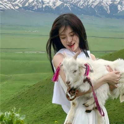 比佛利拜金狗3在线观看
